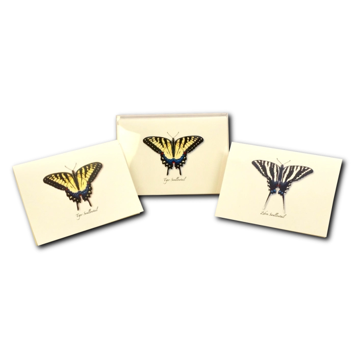 Swallowtail Assortment Notecard Boxed Set of 8