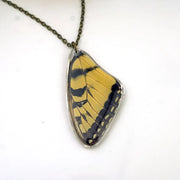 Eastern Tiger Swallowtail Wing Necklace