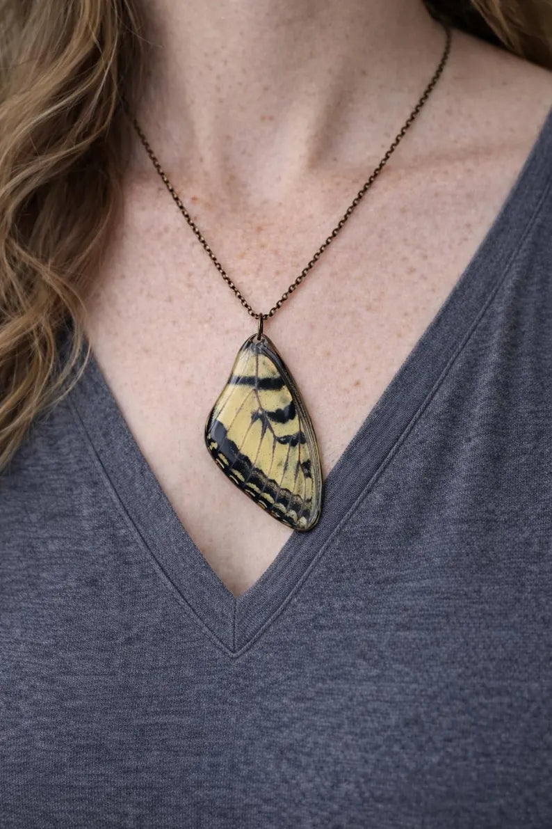Eastern Tiger Swallowtail Wing Necklace being worn with a V-neck T-shirt