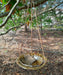 Hanging Bird Bath - American Sycamore Leaf Bowl