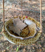 Hanging Bird Bath - American Sycamore Leaf Bowl