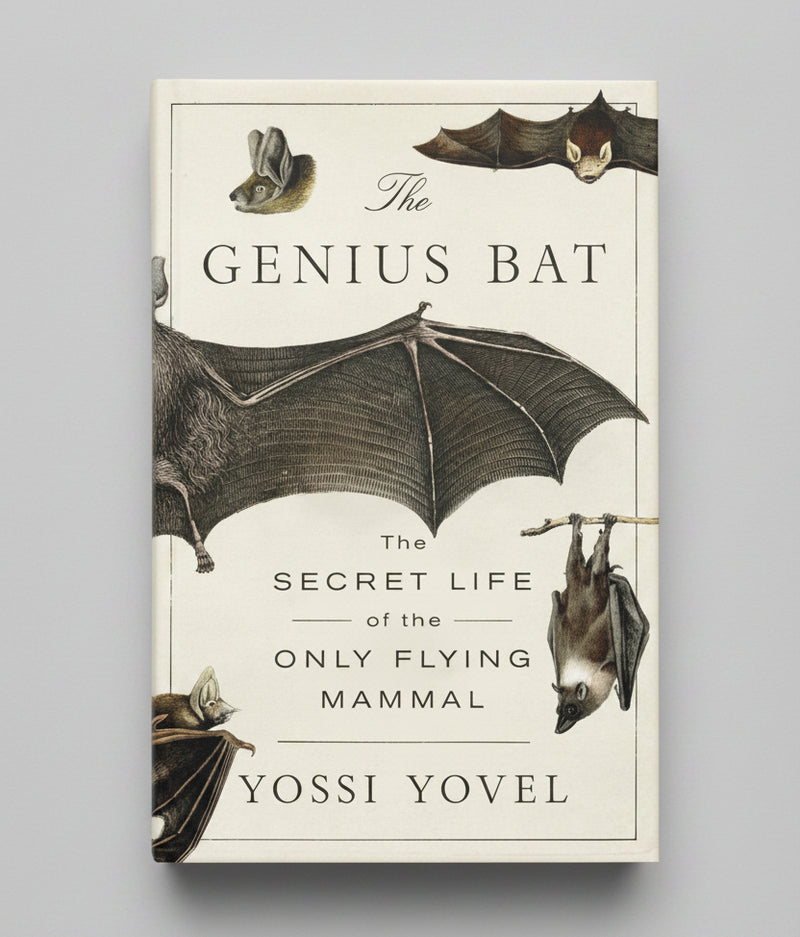 The Genius Bat: The Secret Life of the Only Flying Mammal
