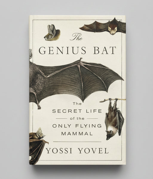 The Genius Bat: The Secret Life of the Only Flying Mammal