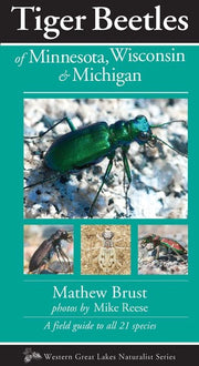 Tiger Beetles of Minnesota, Wisconsin & Michigan