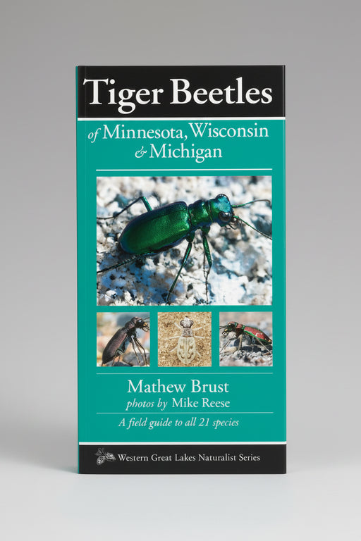 Tiger Beetles of Minnesota, Wisconsin & Michigan
