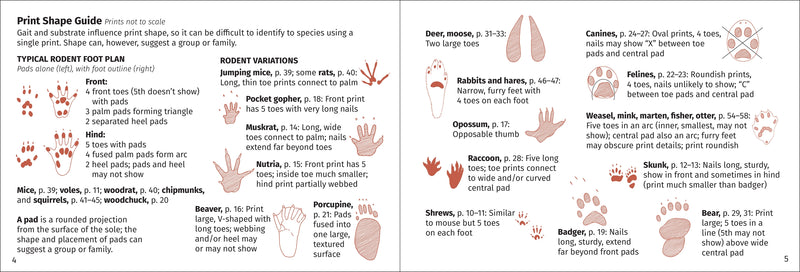 Track Finder - Identifying Mammal Tracks in Eastern North America page samples