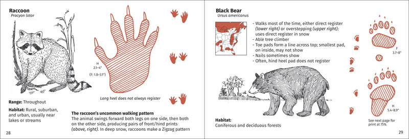 Track Finder - Identifying Mammal Tracks in Eastern North America page samples