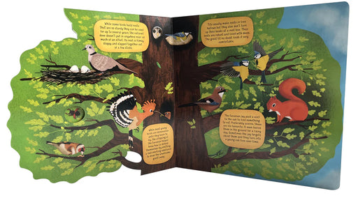 Discovering Life in the Tree - Board Book - sample pages