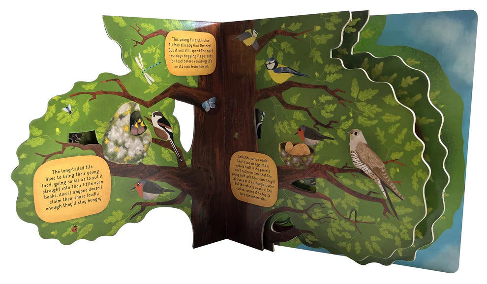 Discovering Life in the Tree - Board Book sample pages