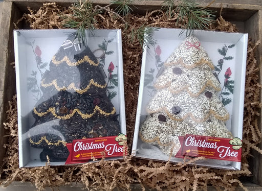 Christmas Tree Seed Cake Bundle - trees come in their own boxes