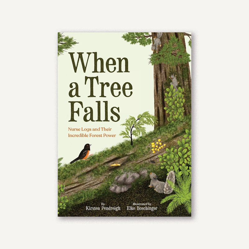 When A Tree Falls
front cover
