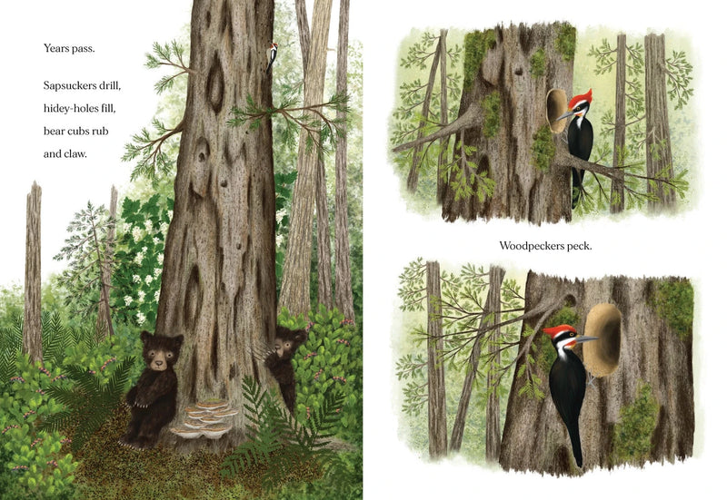 When A Tree Falls
page samples