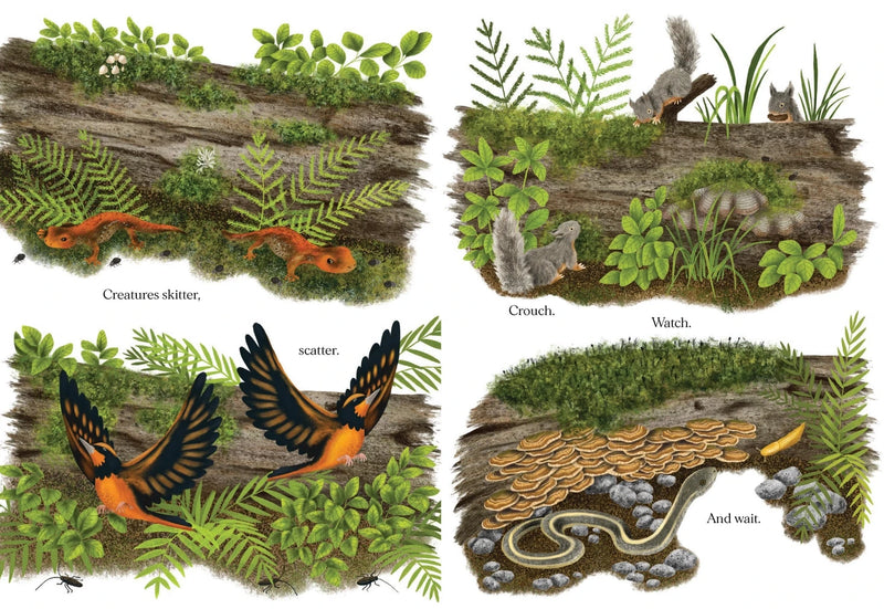 When A Tree Falls
page samples