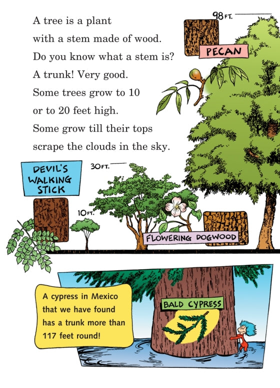 Dr. Suess: I Can Name 50 Trees Today! All About Trees -  illustration and text