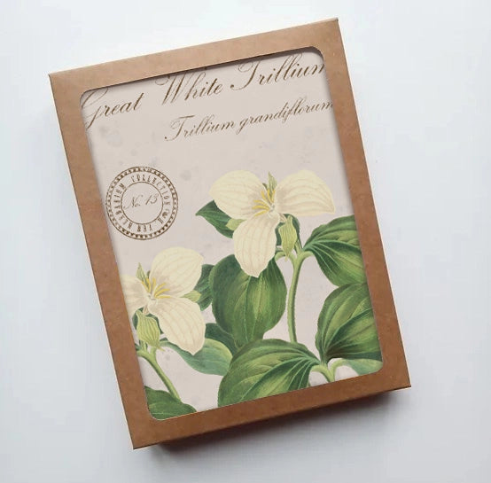 Great White Trillium Vintage Botanical Specimen - Notecard Set of 8
in packaging