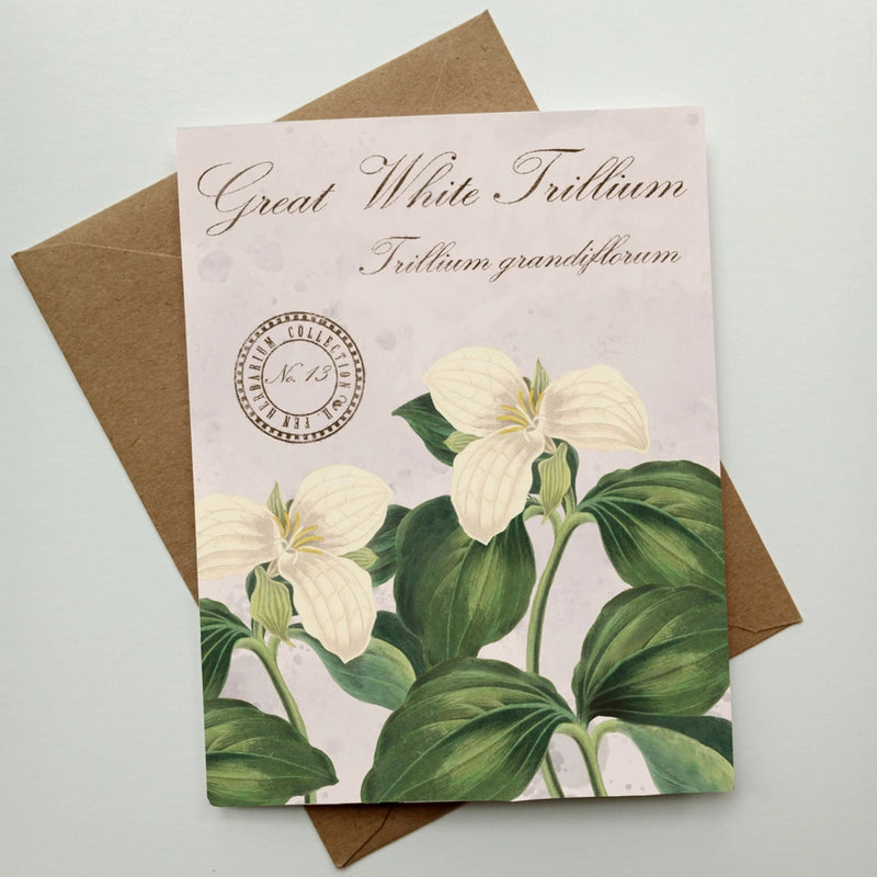 Great White Trillium Vintage Botanical Specimen - Notecard Set of 8
individual card and envelope