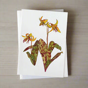 Trout Lily illustrated greeting card on light wood background