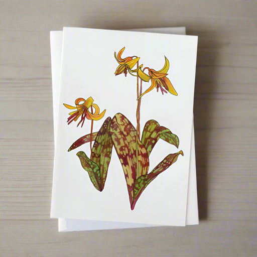 Trout Lily illustrated greeting card on light wood background