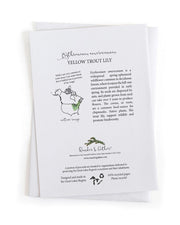 yellow trout lily information on back of card