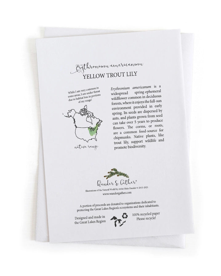 yellow trout lily information on back of card