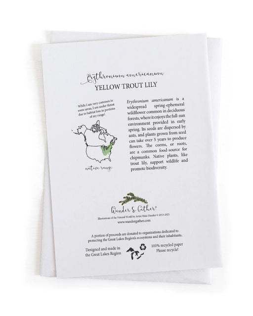 yellow trout lily information on back of card