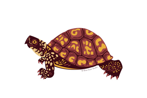 Box Turtle Sticker - illustration that the sticker is produced from