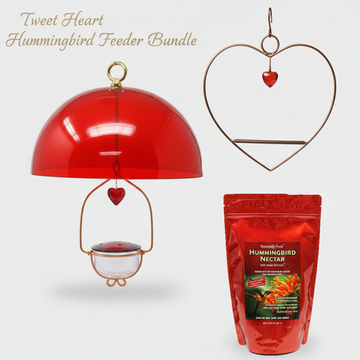 Tweet Heart Hummingbird Feeder Bundle
