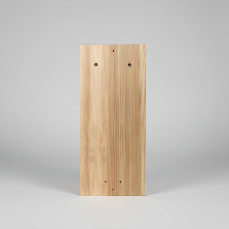Ultimate Bluebird House with Metal Portal - back