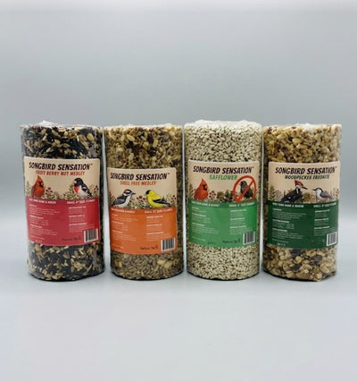 Seed Cylinder Variety Pack - 4 Piece
