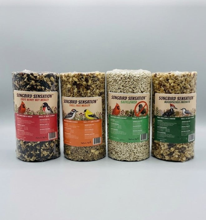 Seed Cylinder Variety Pack - 4 Piece