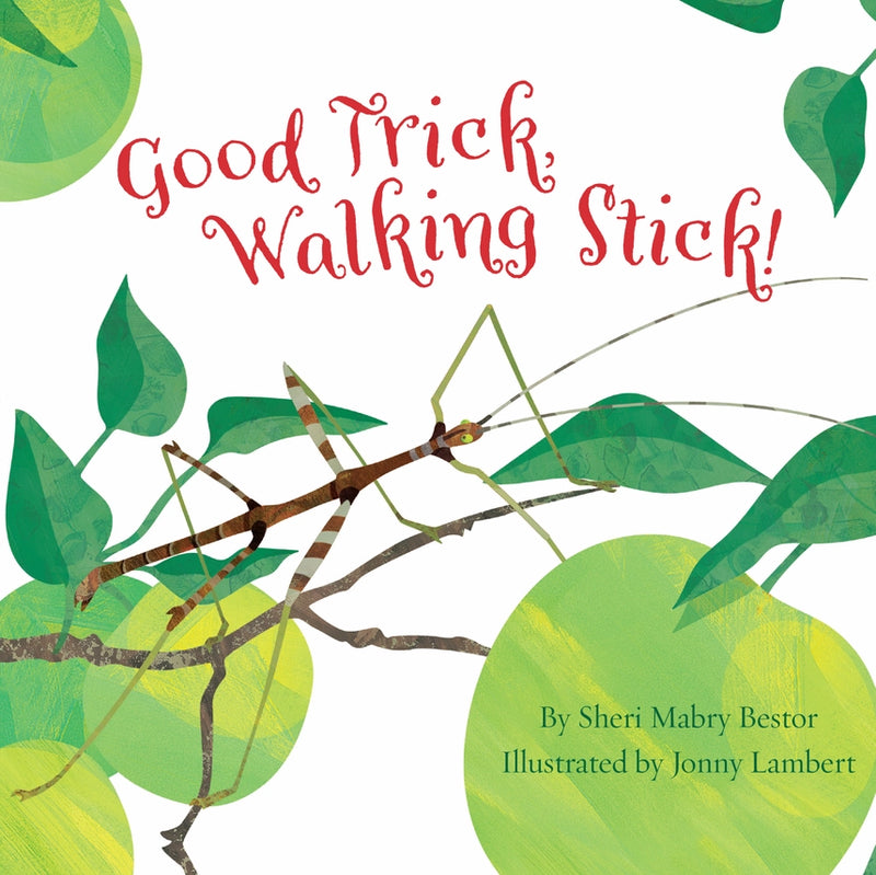 Good Trick, Walking Stick! Picture Book
book cover