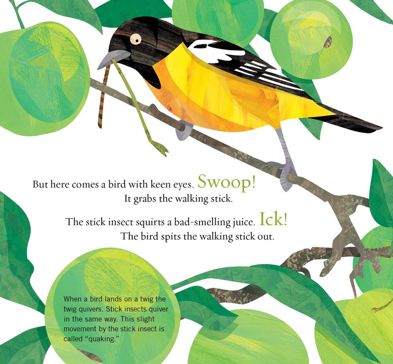 Good Trick, Walking Stick! Picture Book
sample page