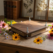 Hardwood Flower Pressing Kit surrounded by wildflower on a desk with pressed flora in glass floater frames and antique book sin the background