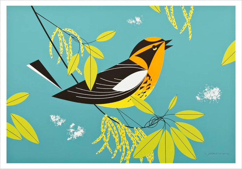 Charley Harper: Blackburnian Warbler Small Boxed Cards