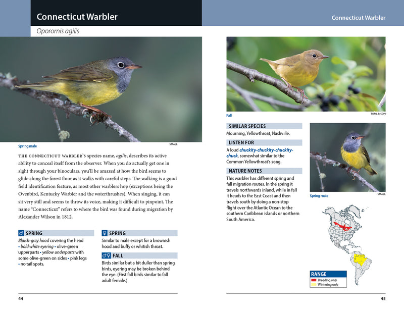 Warblers of Eastern North America - sample pages