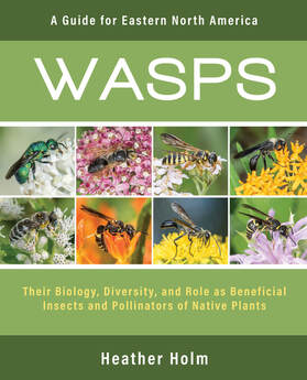 WASPS: A Guide for Eastern North America
book cover