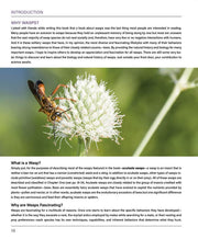 WASPS: A Guide for Eastern North America
introduction