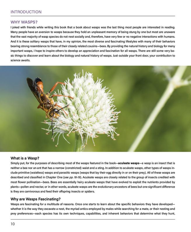 WASPS: A Guide for Eastern North America
introduction