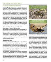 WASPS: A Guide for Eastern North America
page sample