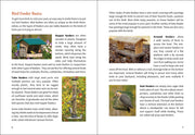 Birding For Beginners Midwest sample pages