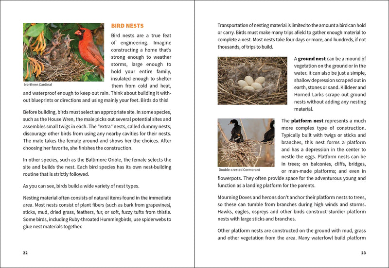 Birding For Beginners Midwest sample pages