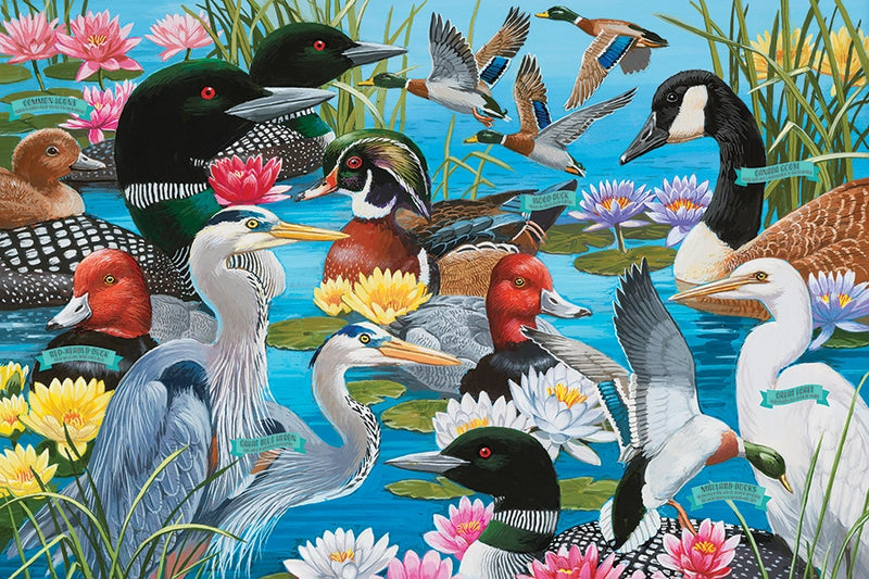 Water Birds Floor Puzzle - 36pc
puzzle image of water birds