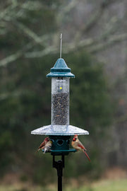 Bird feeder with birds perched on it against a blurred rainy natural background