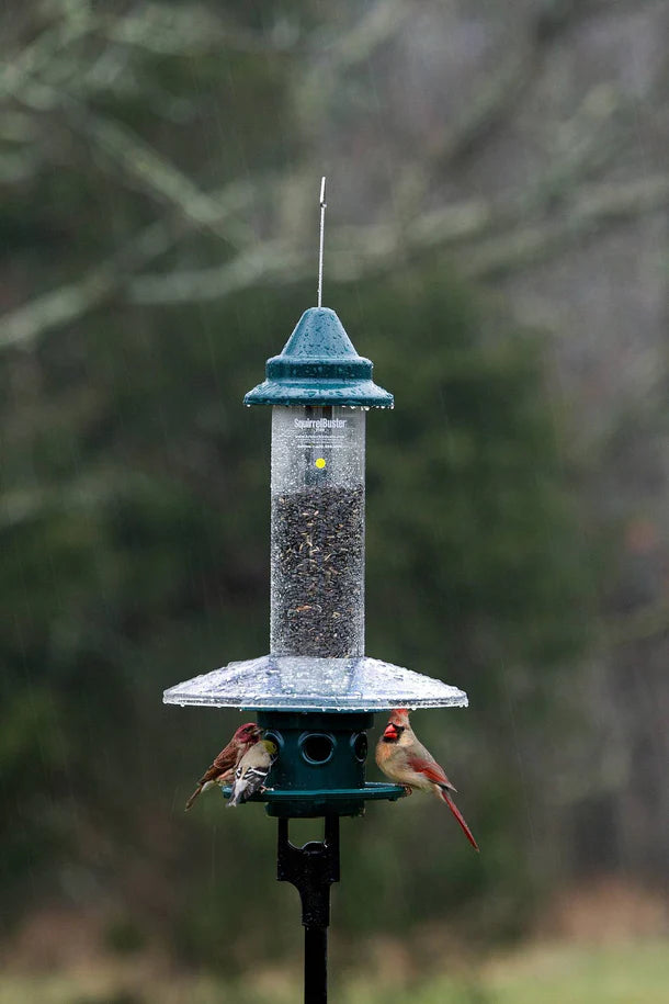 Bird feeder with birds perched on it against a blurred rainy natural background