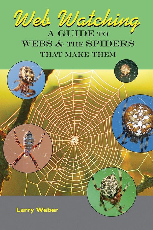 Web Watching - cover
