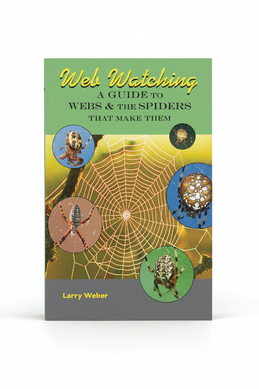 Web Watching - cover