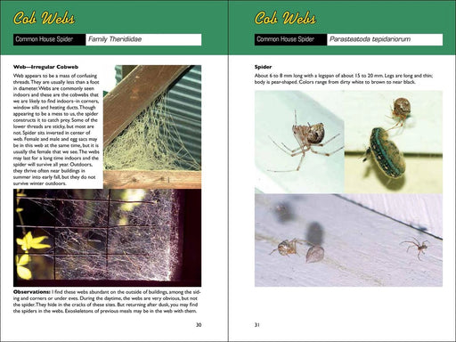 Web Watching - sample pages