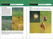 Web Watching - sample pages