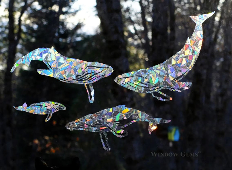 Humpback Whale Window Clings