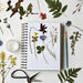 Journaling Wildflower Bundle - herbarium example
